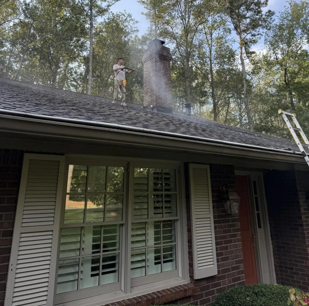 home painting - repairs - renovations